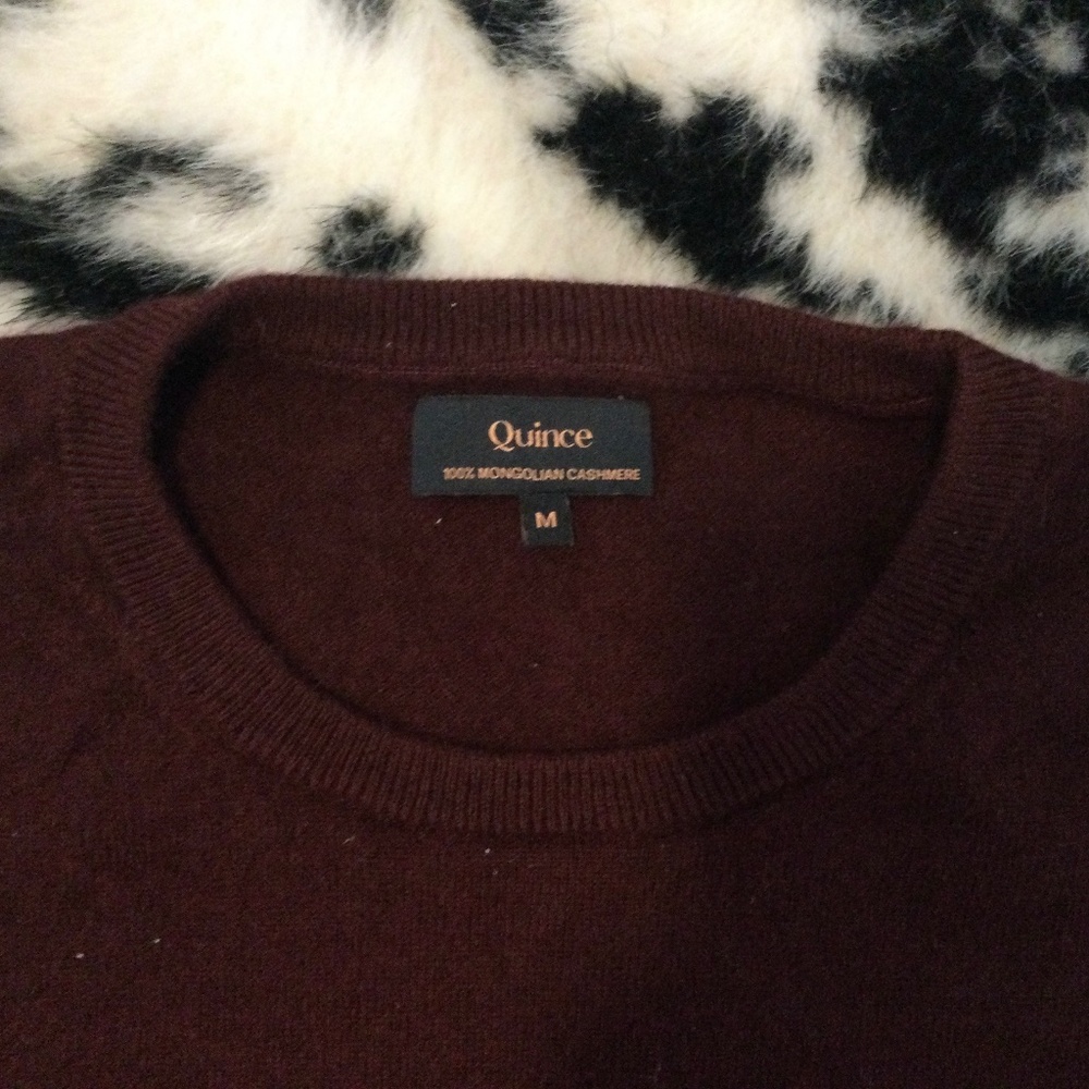 Quince Crewneck Mongolian Cashmere Sweater